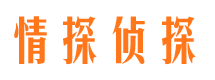 溆浦情探私家侦探公司